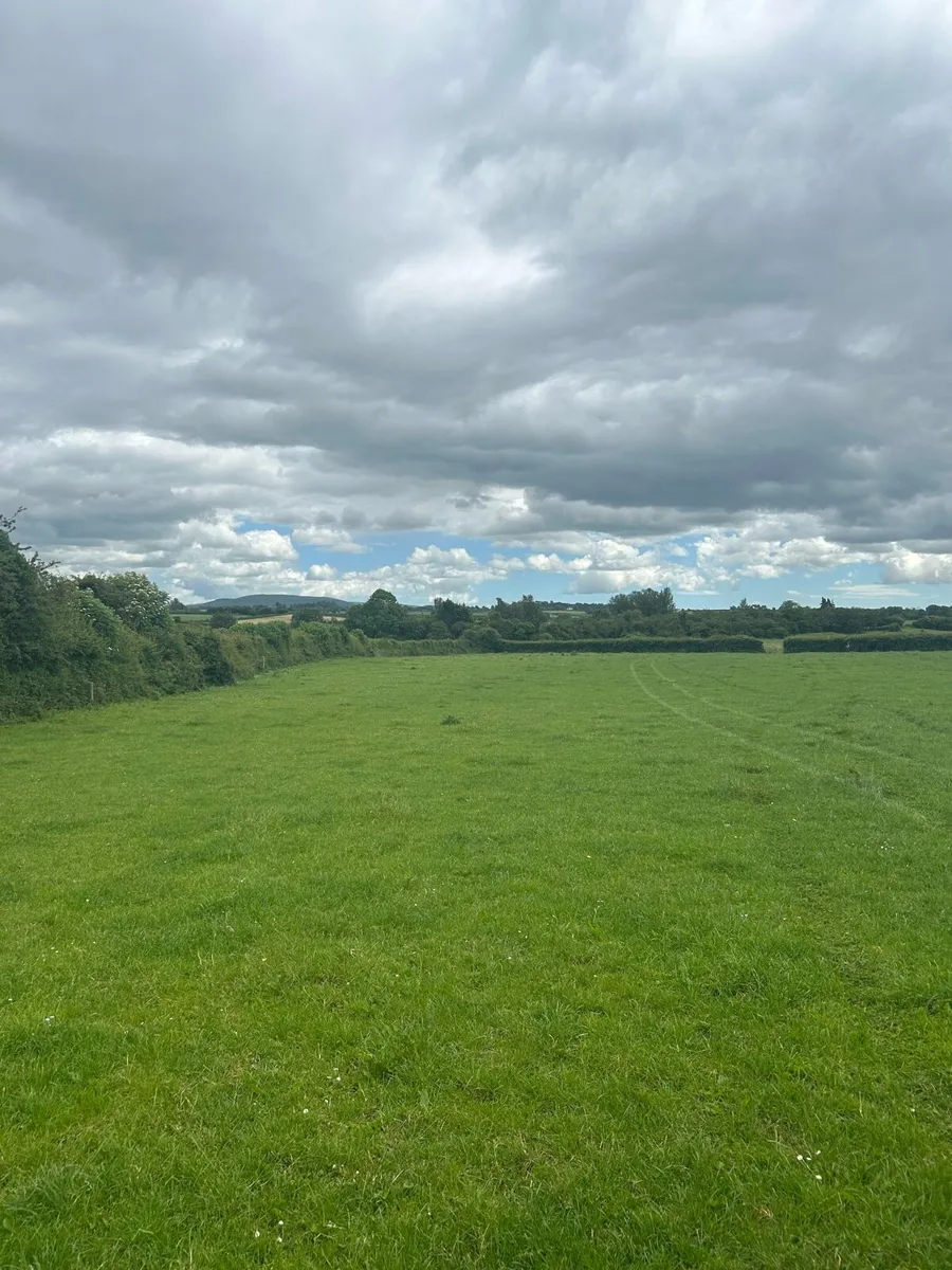 Land wanted to lease
