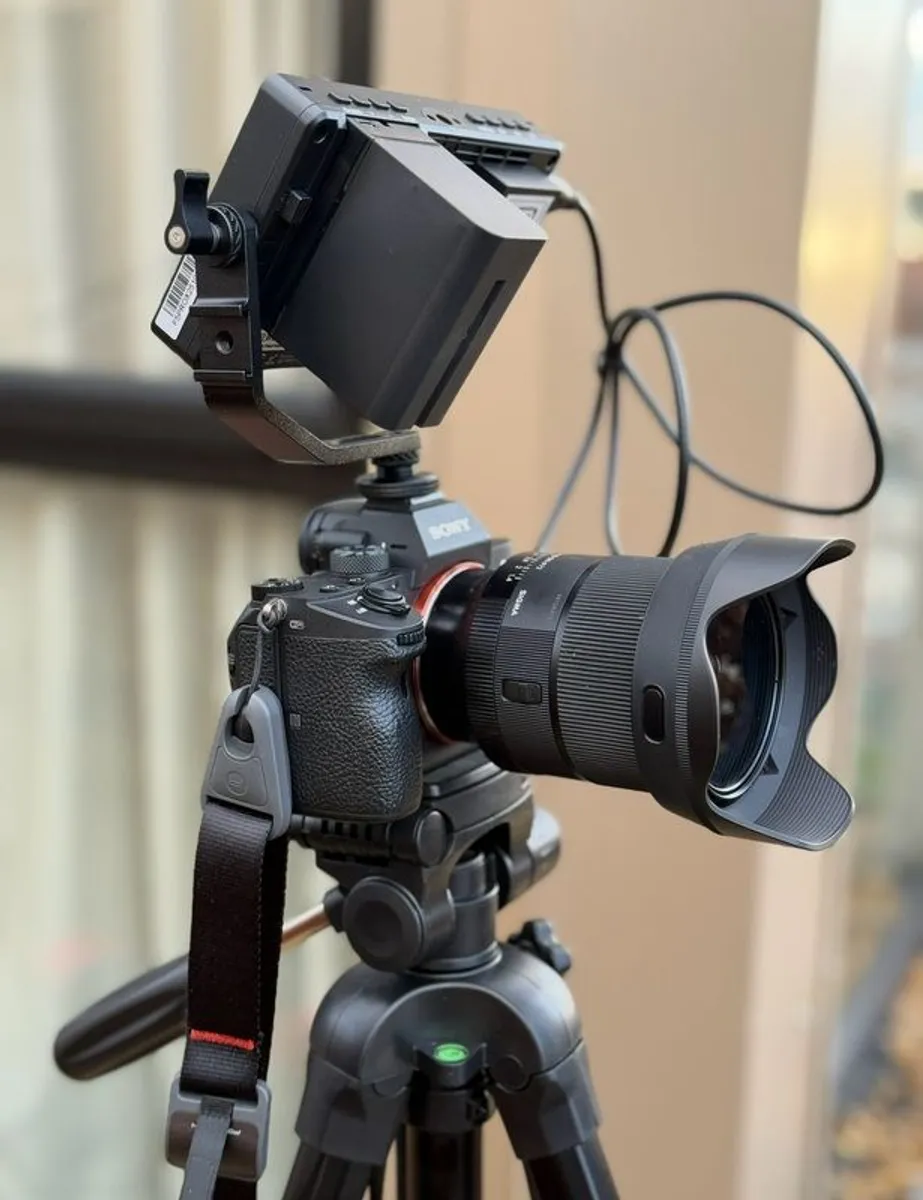 Sony Alpha 7 III + Sigma 24mm F1.4 - Image 1