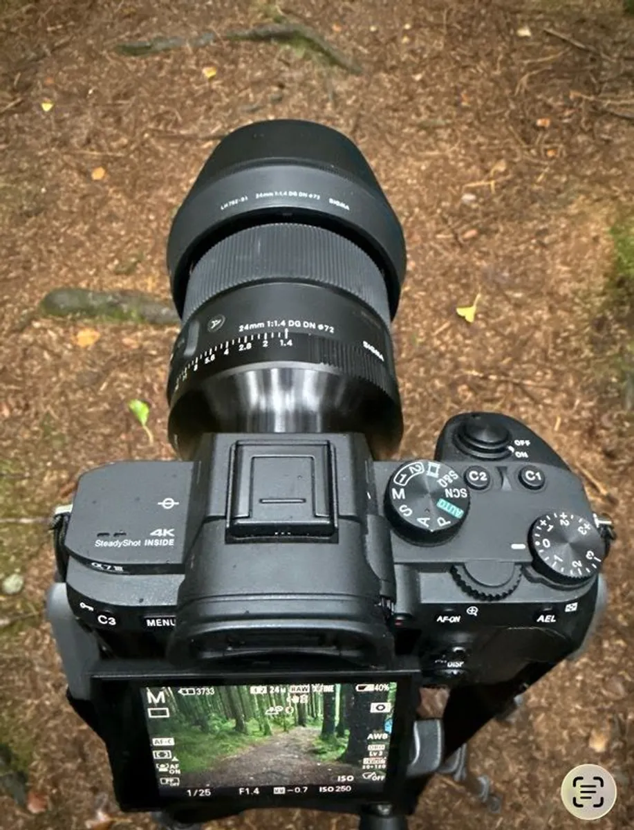 Sony Alpha 7 III + Sigma 24mm F1.4 - Image 2