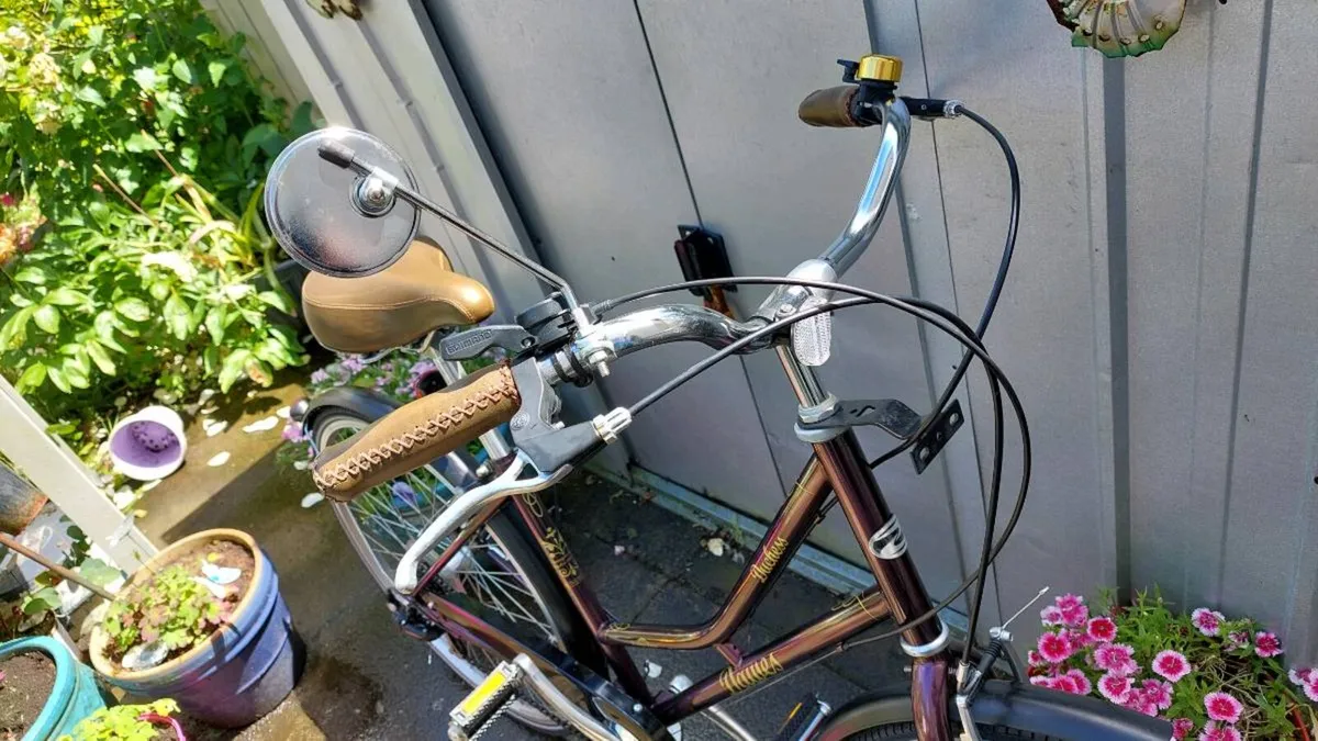 Dawes Dutchess Low Step Through City Bike - Image 3