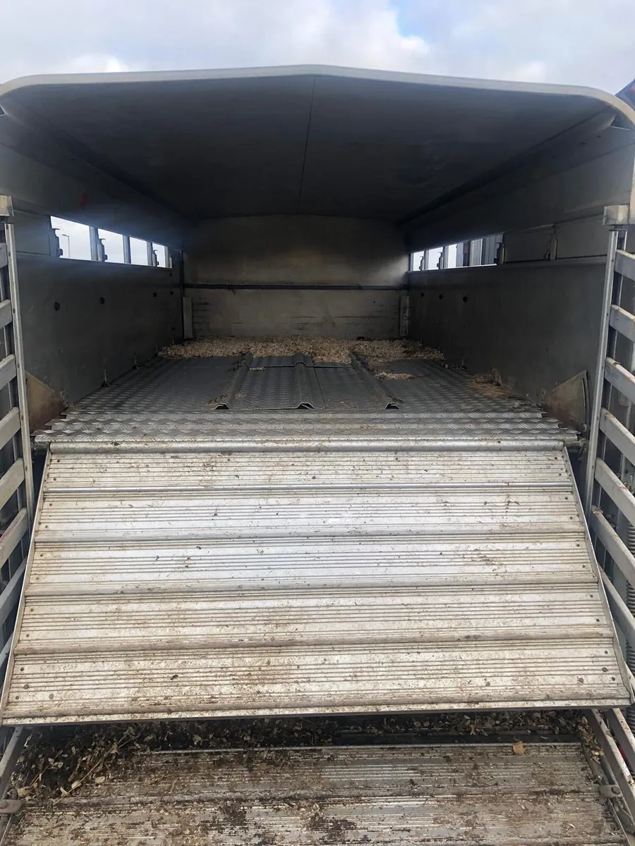 Cattle trailer - Image 3