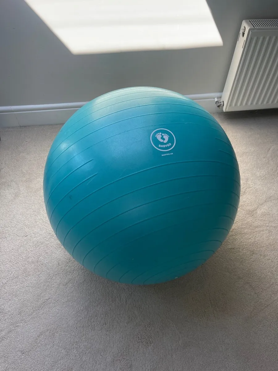 Babygo Pregnancy / Exercise Ball - Image 1