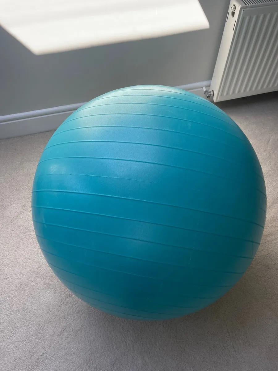 Babygo Pregnancy / Exercise Ball - Image 2
