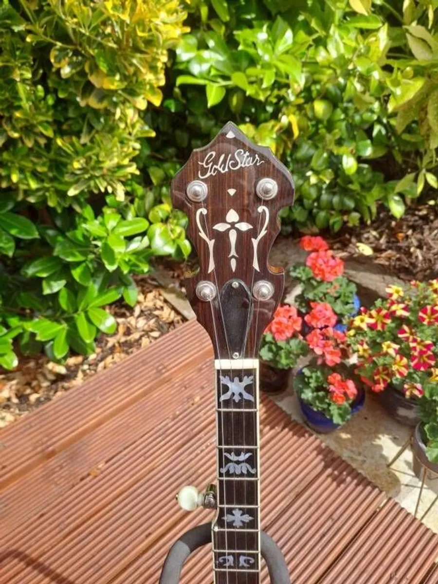 Goldstar FE 100 5 string banjo - Image 3