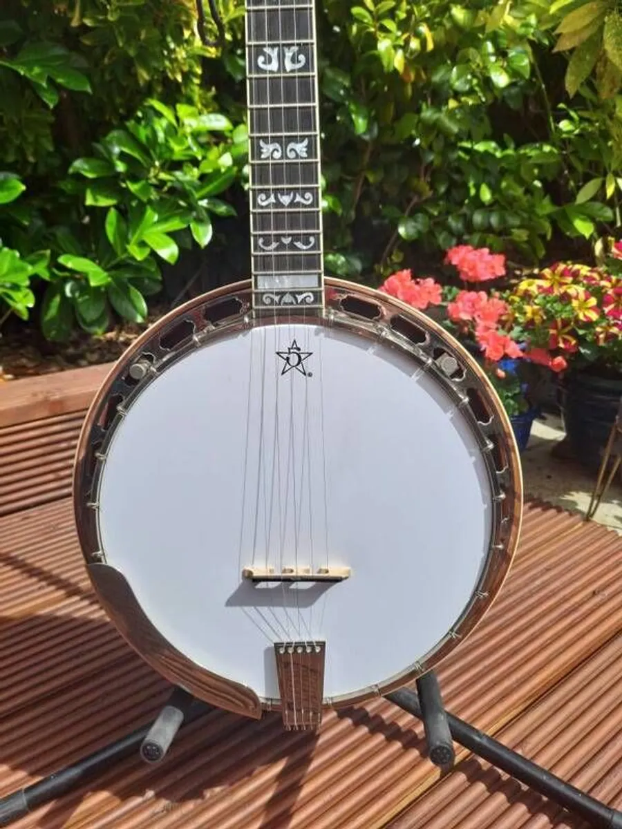 Goldstar FE 100 5 string banjo - Image 4