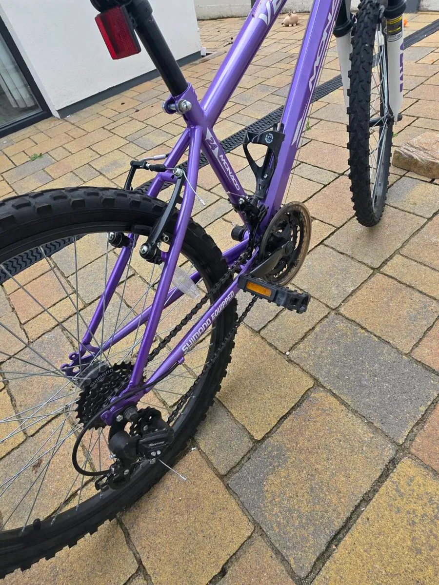 24 inch Bike - Image 4