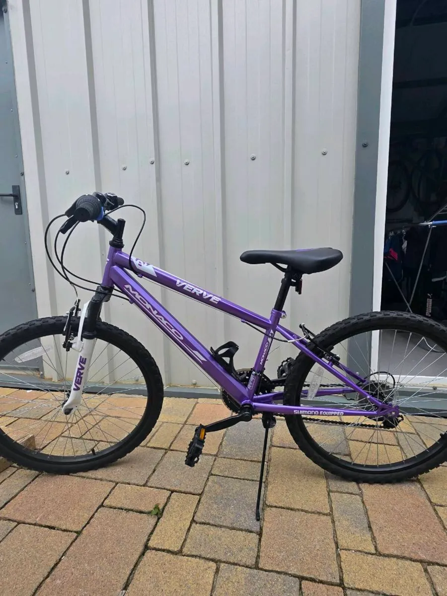 24 inch Bike - Image 1