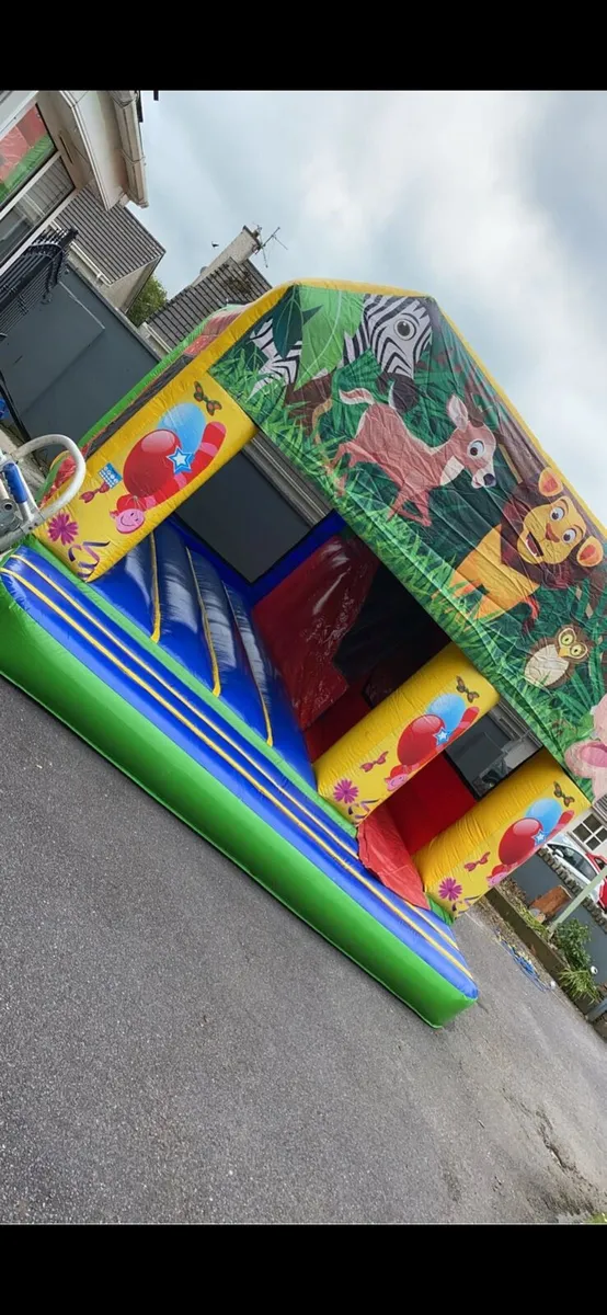 Bouncing bunble deal - Image 1