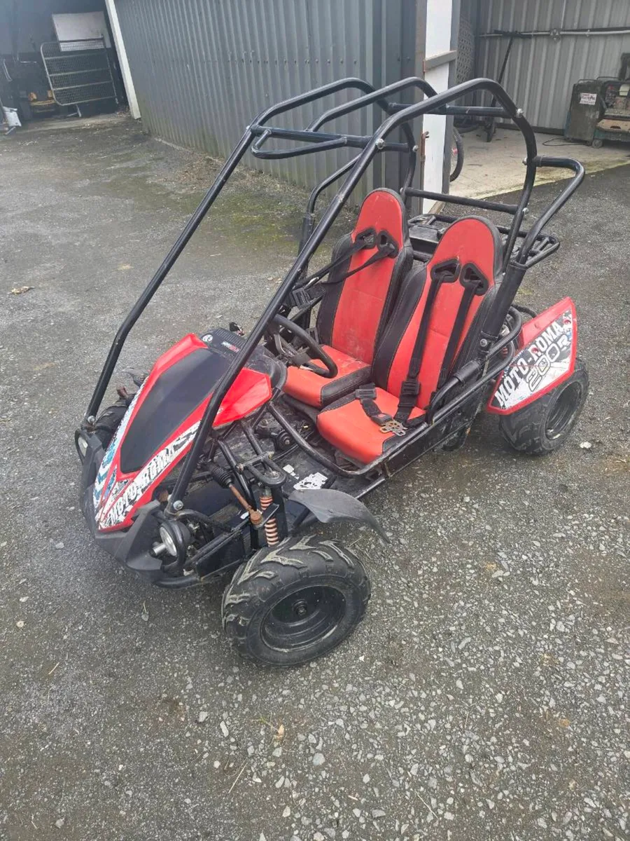 Buggy - Image 4