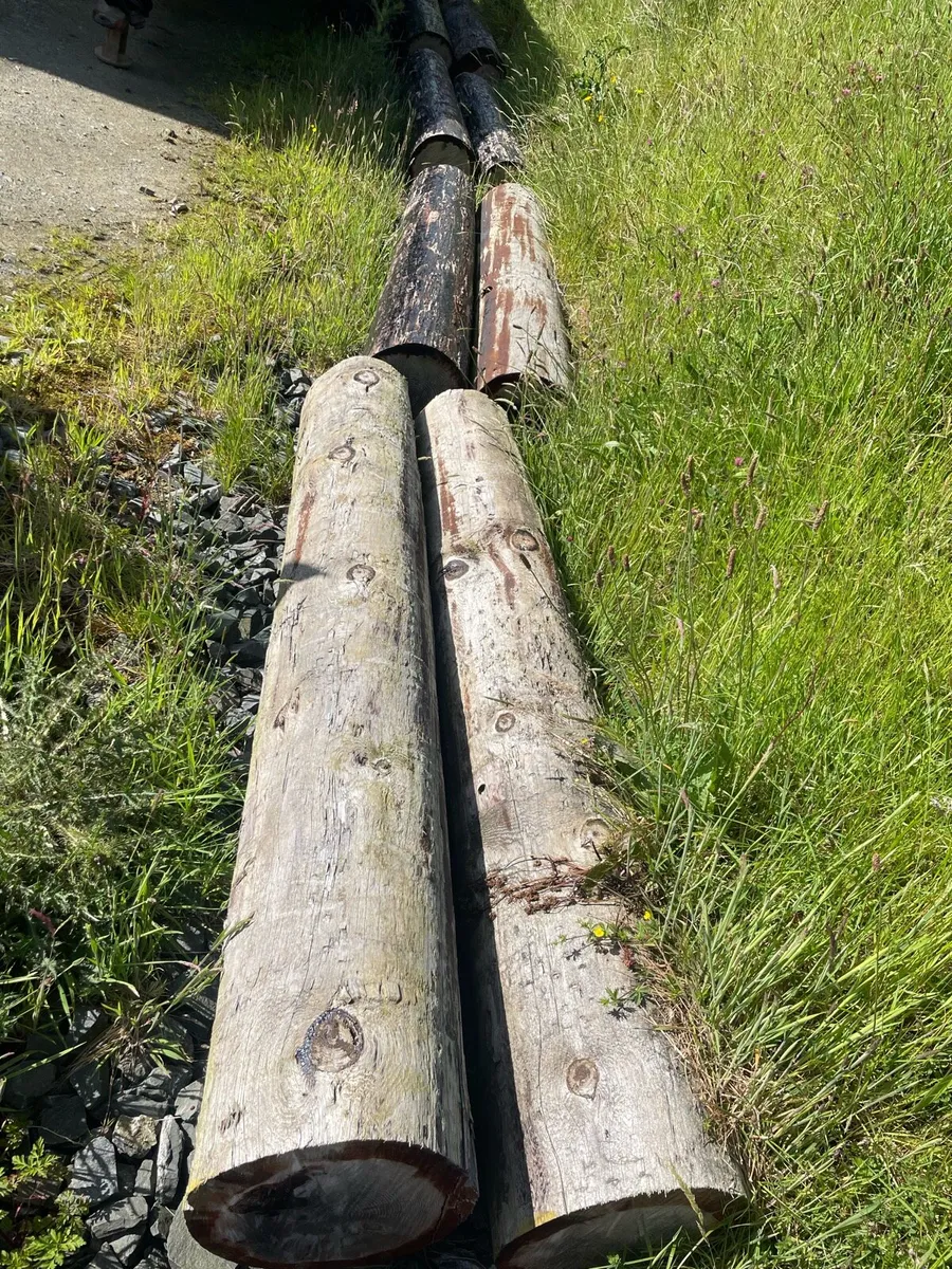 ESB poles - Image 1