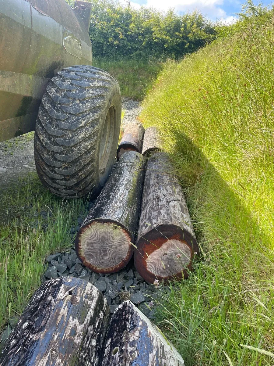 ESB poles - Image 2