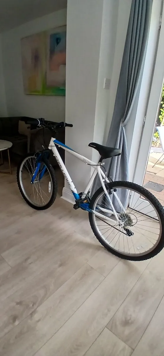 BIKE CHALLEDGE SPECTRE - Image 3