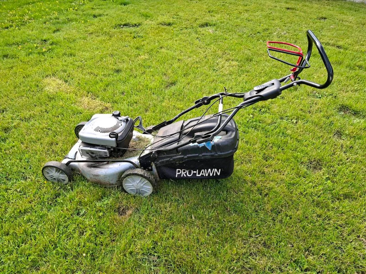 Self Drive Petrol Lawnmower - Image 1