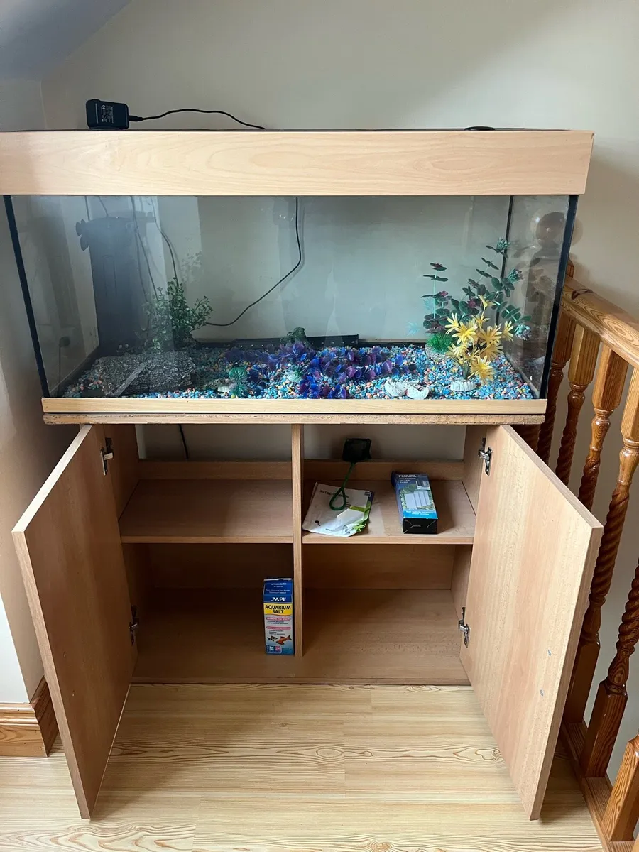Fish tank - Image 3
