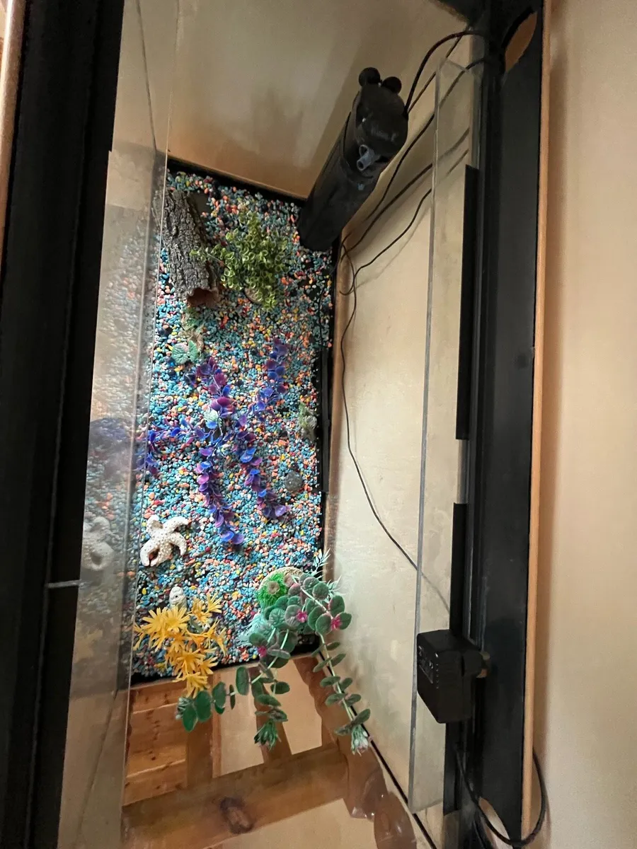 Fish tank - Image 4