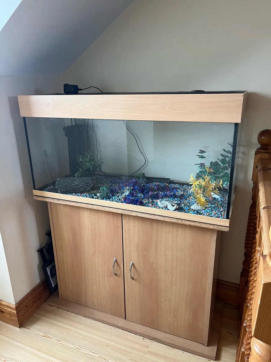 Fish tank - Image 1
