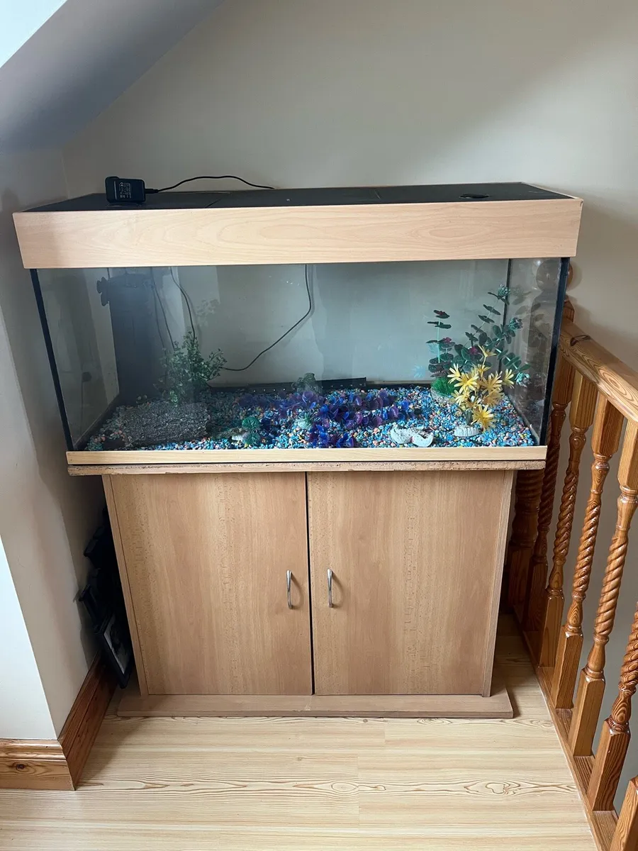 Fish tank - Image 2