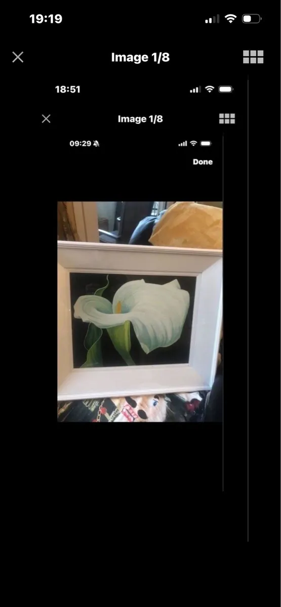 Arum Lily Original Painting- Nicola Morrin - Image 1