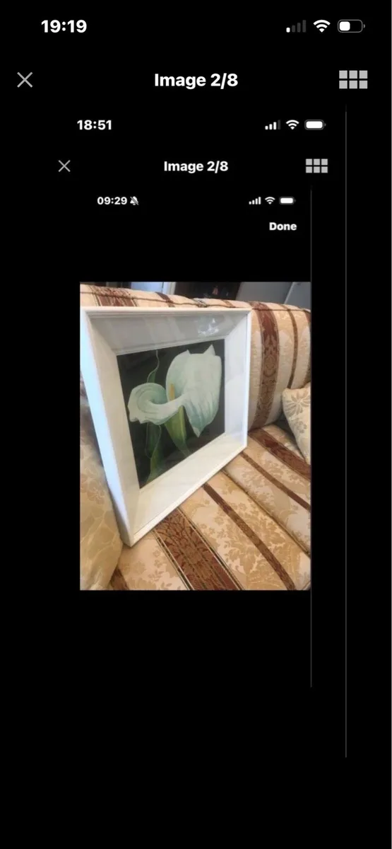 Arum Lily Original Painting- Nicola Morrin - Image 2