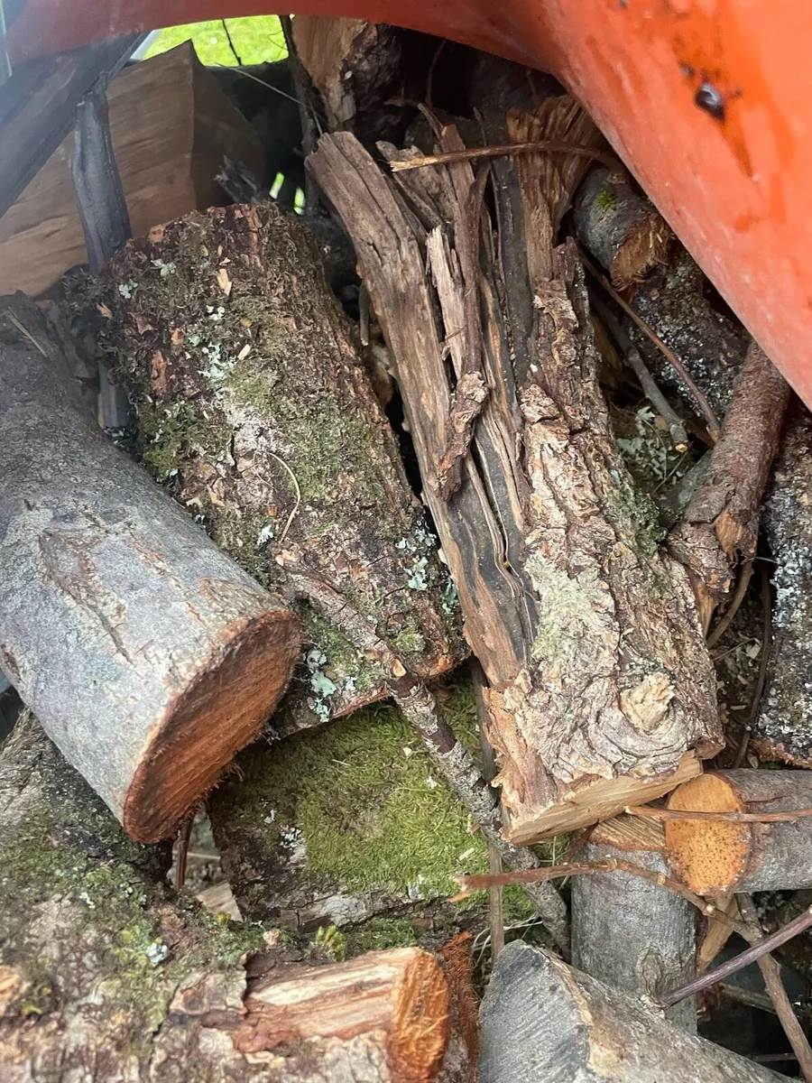 Firewood.