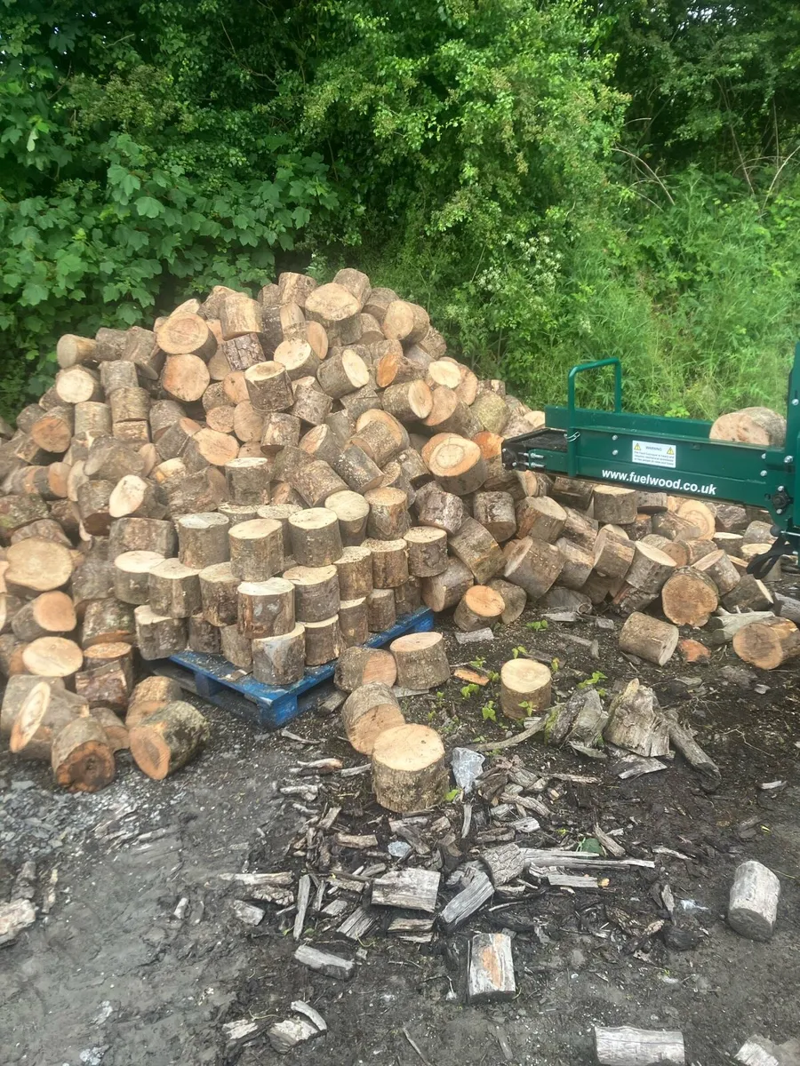 Firewood hardwood - Image 2