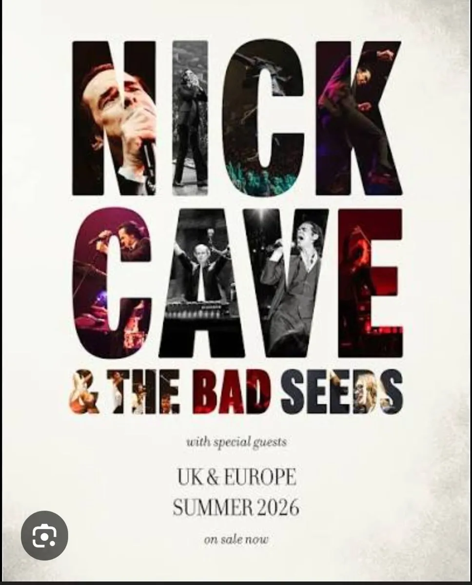 Nick Cave & the Bad Seeds - Image 2