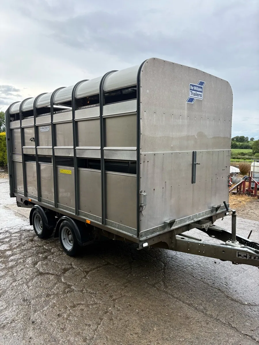 Ifor Williams 2019 - Image 2