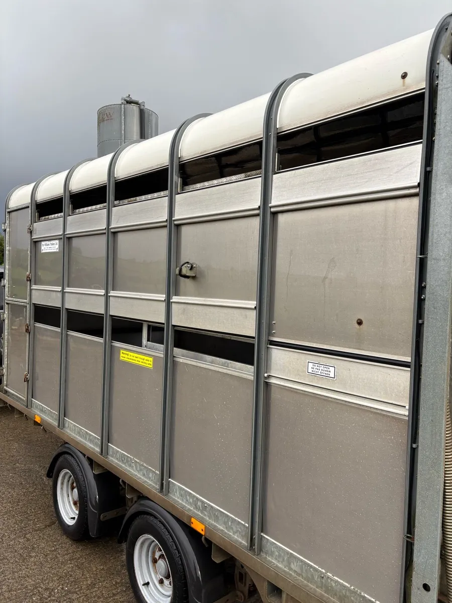 Ifor Williams 2019 - Image 3