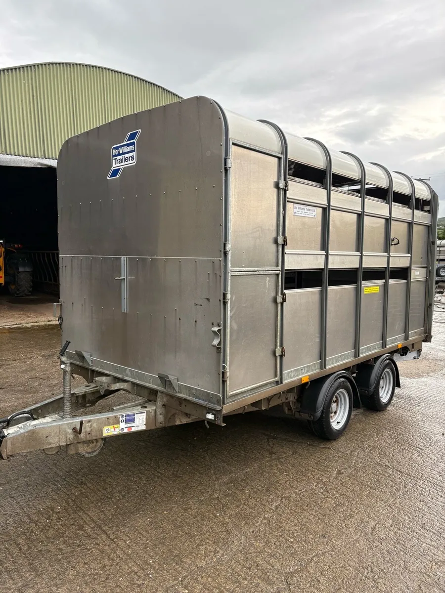 Ifor Williams 2019 - Image 1