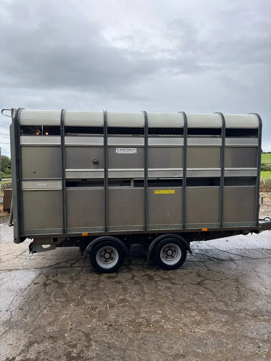 Ifor Williams 2019 - Image 4