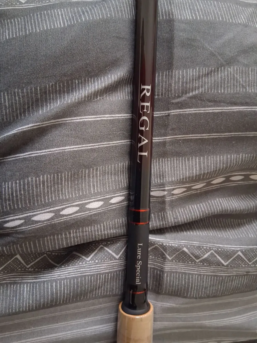 Daiwa regal 10ft lure salmon rod - Image 4