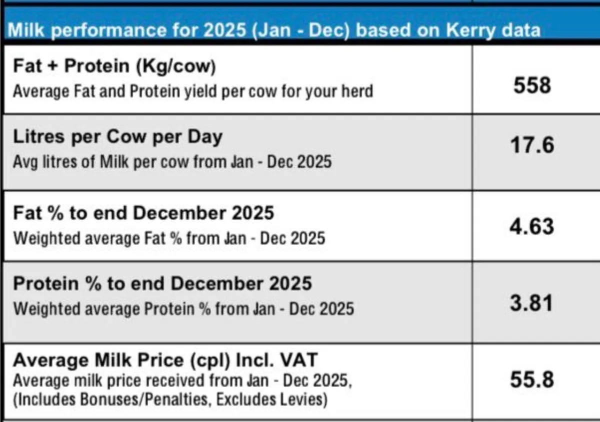Heifer Calves For Sale - Image 4