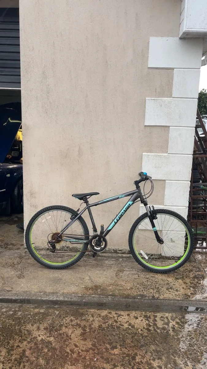 Bicycle - Image 1