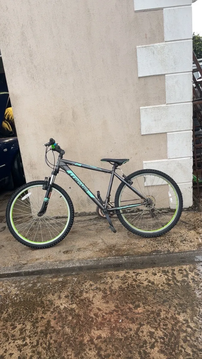 Bicycle - Image 2