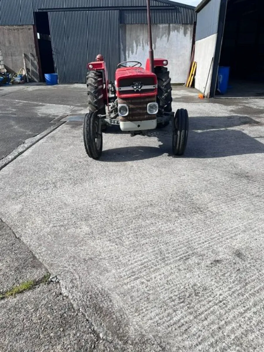Massey Ferguson 1965 - Image 3