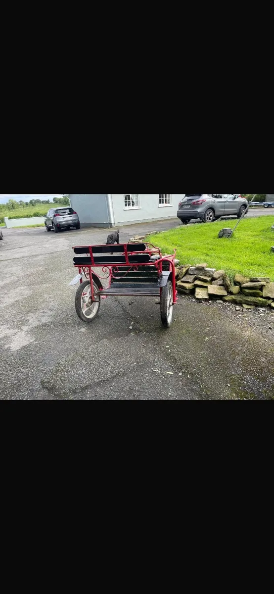pony cart - Image 3