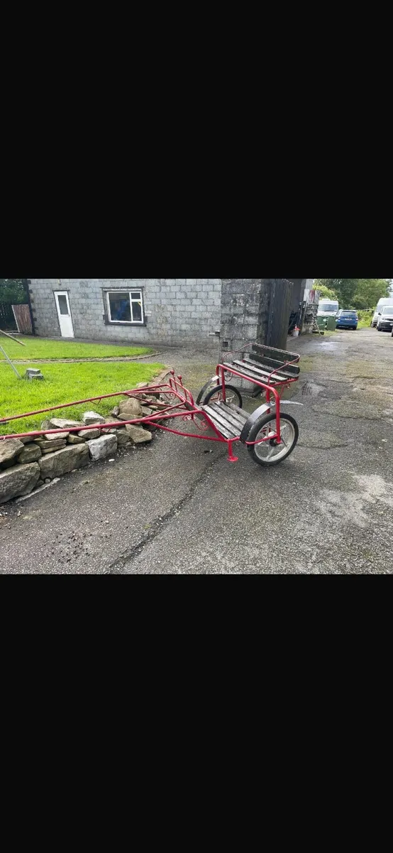 pony cart - Image 1