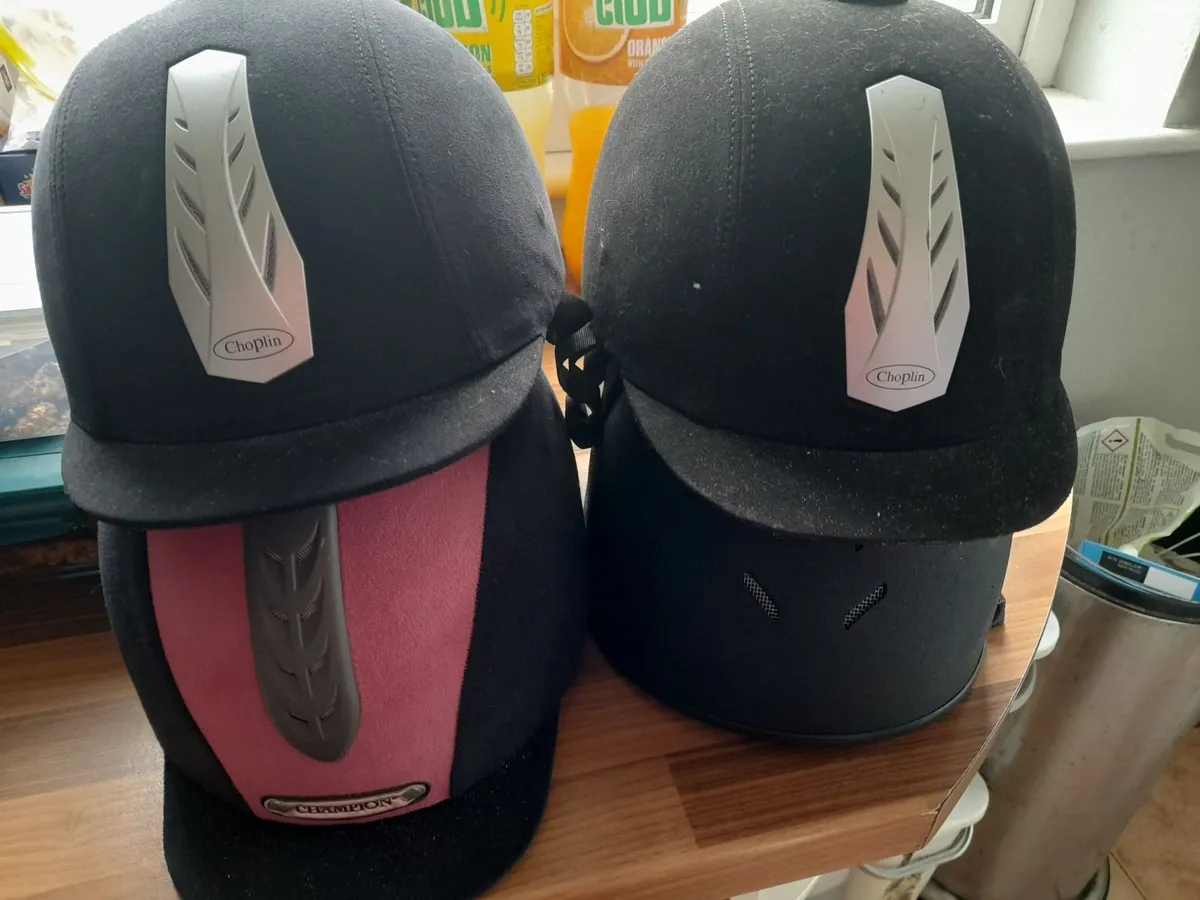Horse riding equipment - Image 2