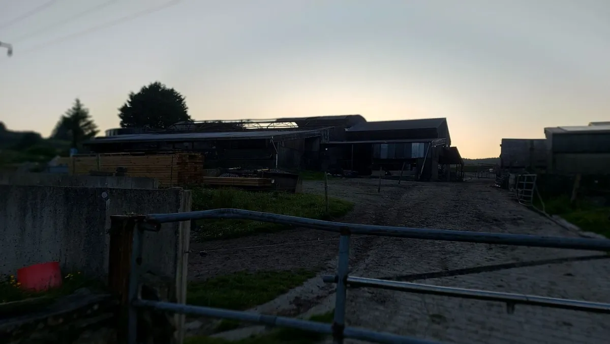 Dismantled Shed - Image 4