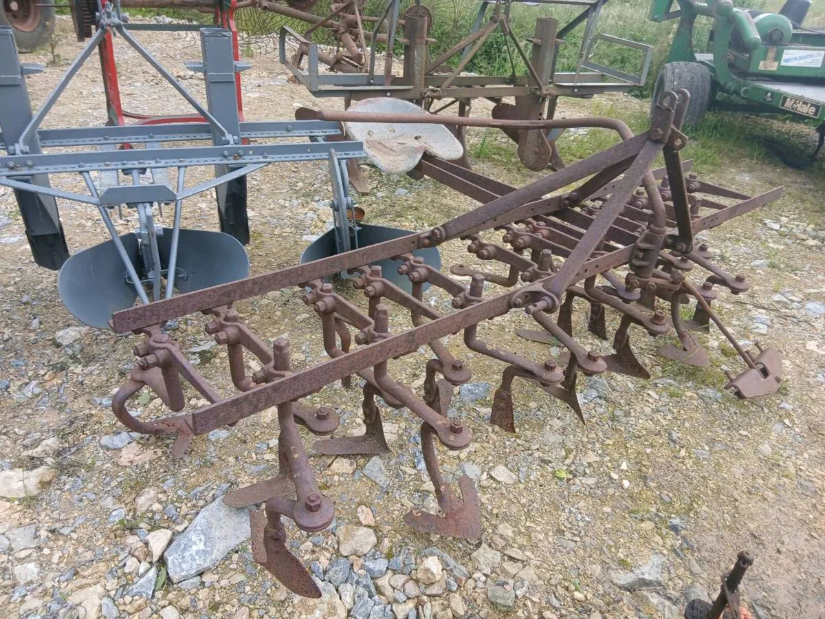 Ferguson steerage hoe - Image 1