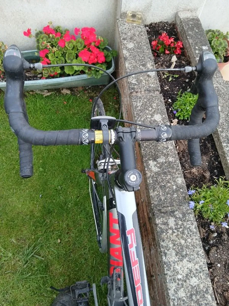 Giant Road Bike - Image 3