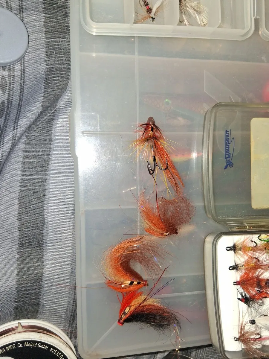 Fishing flies - Image 1