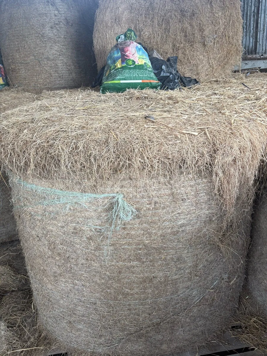 Hay & haylage for sale
