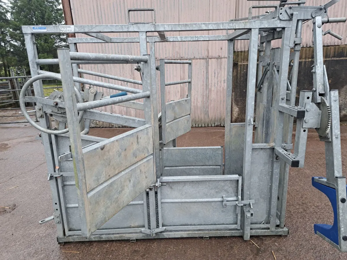 Cattle Crush - Image 1