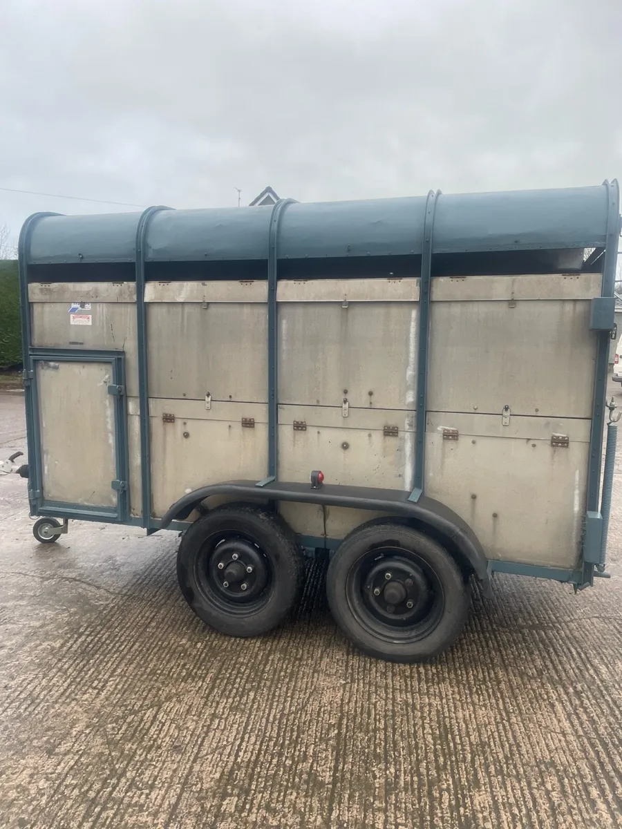 Cattle trailer - Image 4