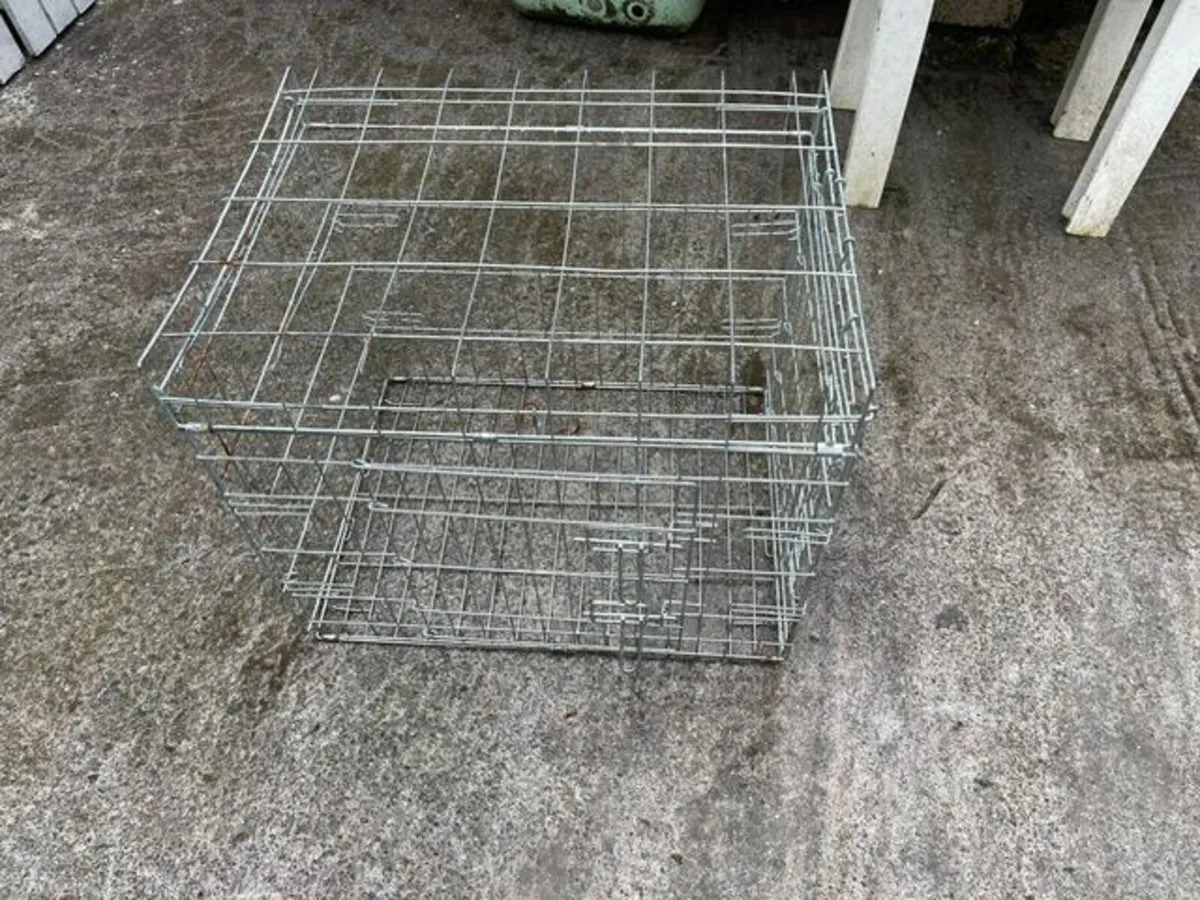 Dog Cage - Image 1