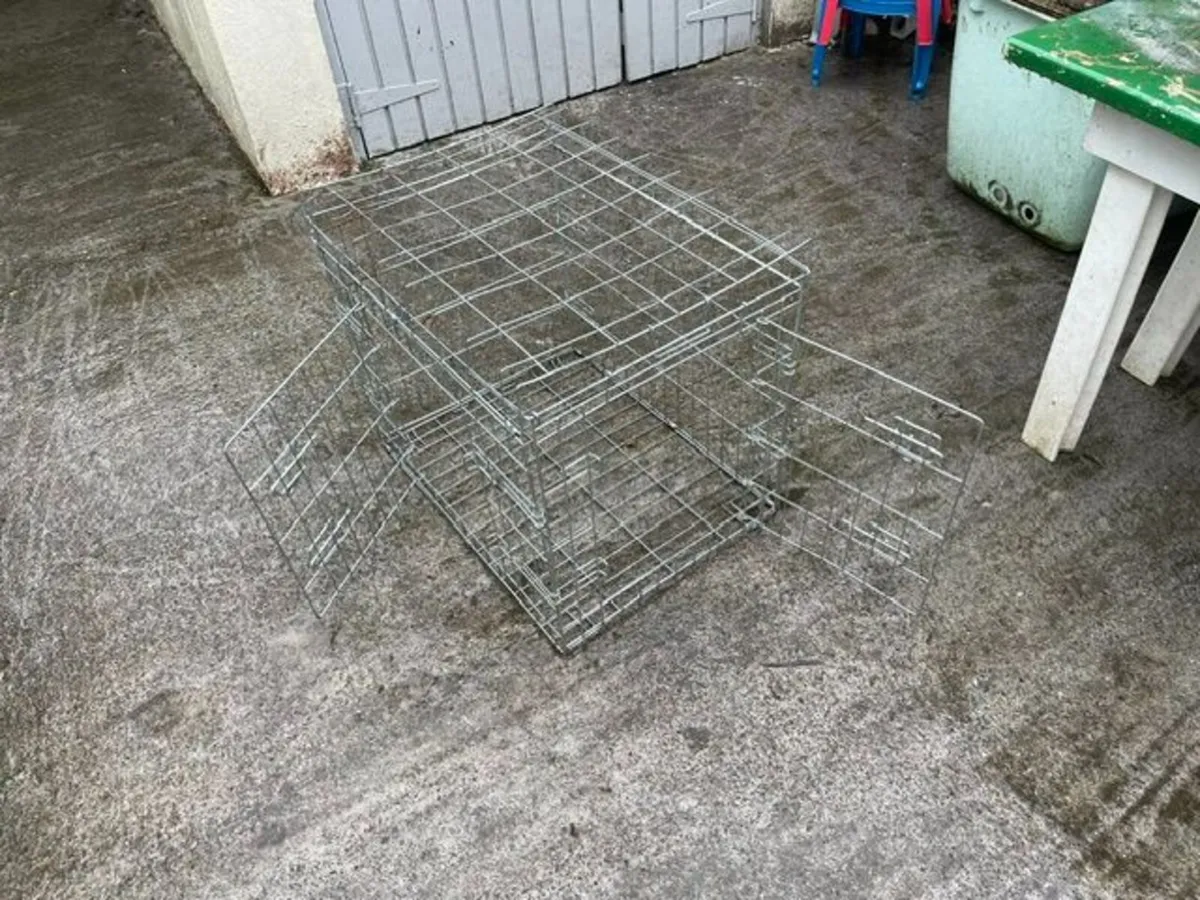Dog Cage - Image 2