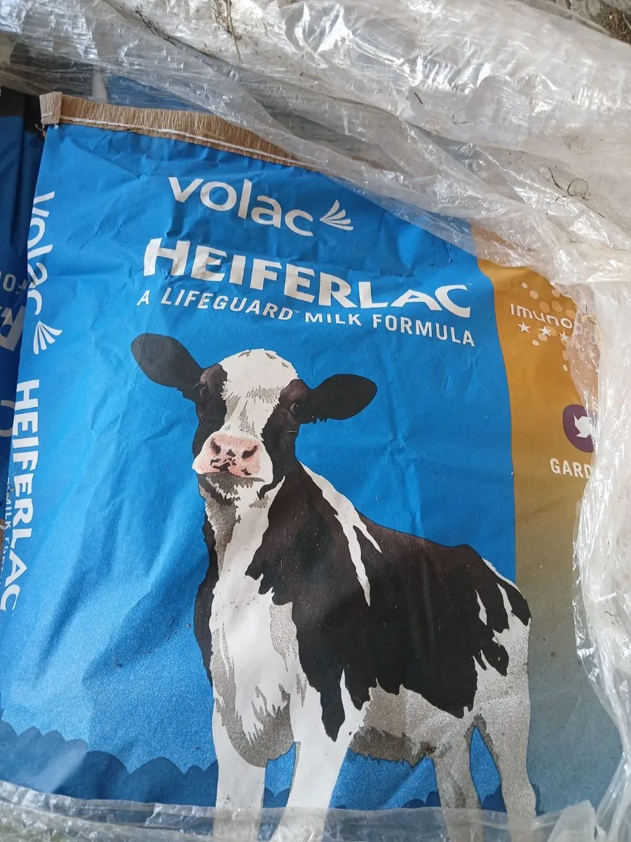 Milk replacer - Image 1