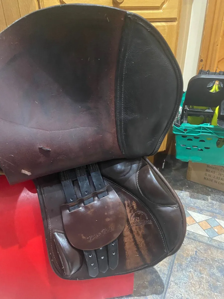 Berneys Grand Prix International Saddle 18.5 Inch - Image 2