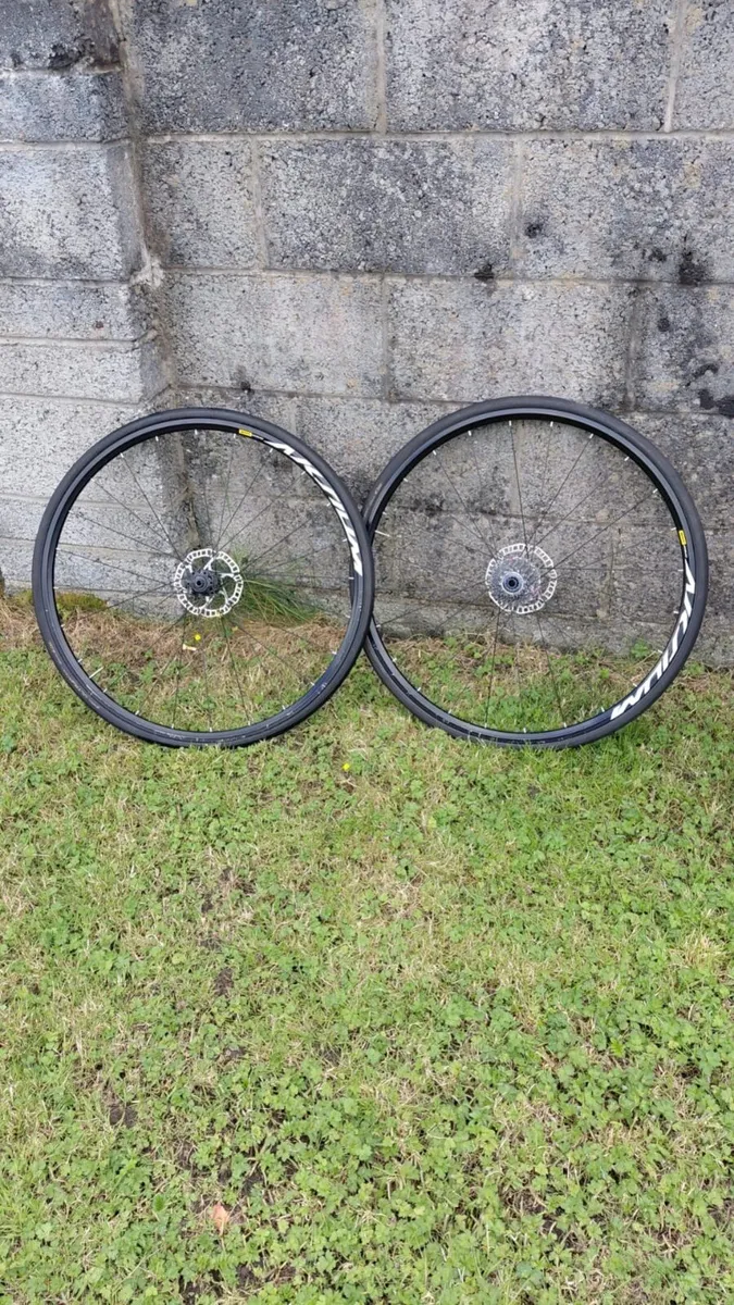 Kuota k-uno fully carbon - Image 2